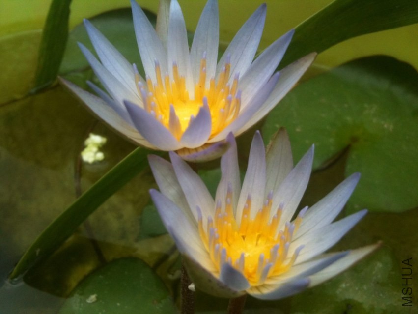 2013-09-08 120255.jpg