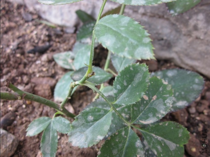 QQ��ͼ20131118092614.jpg