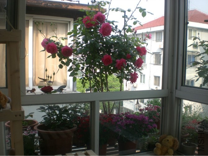 psb (10).jpg