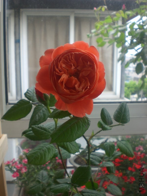 ���� (2) ���� psb (12).jpg