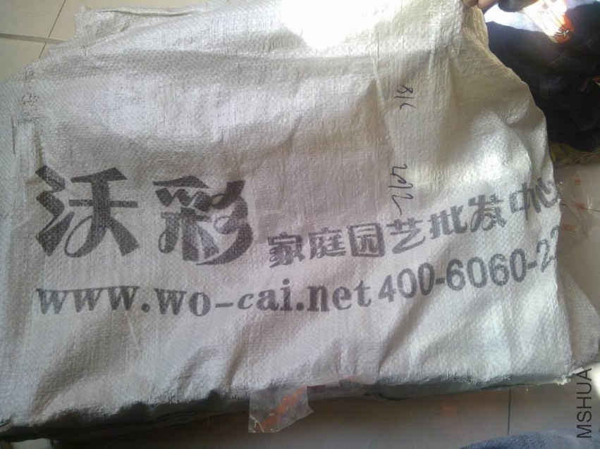 WP_000276.jpg