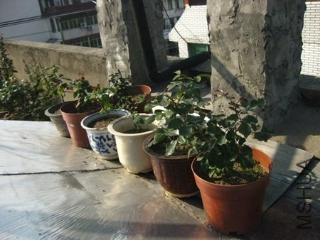 ��Ƭ 003_����.jpg