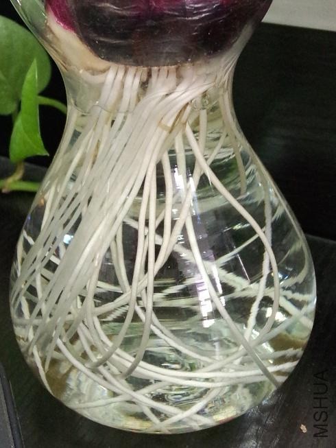 ������ (2).jpg