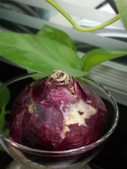 ������ (1).jpg