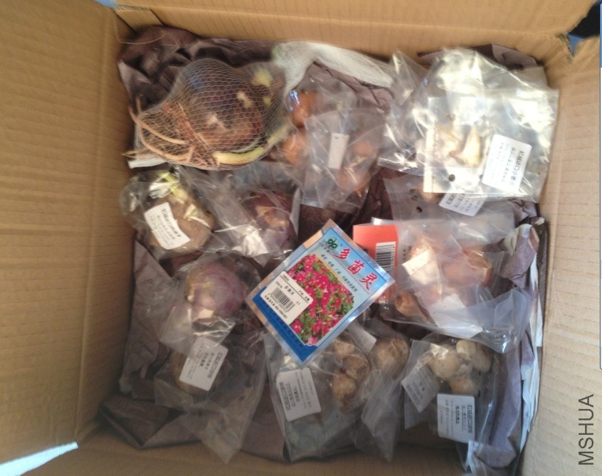 ��2�ʡ���������