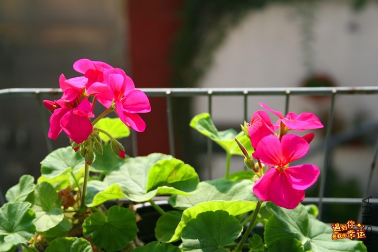 ��Ƭ 058_����.jpg