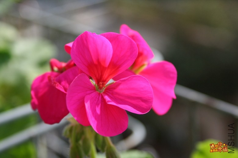 ��Ƭ 060_����.jpg