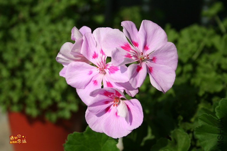 ��Ƭ 065_����.jpg