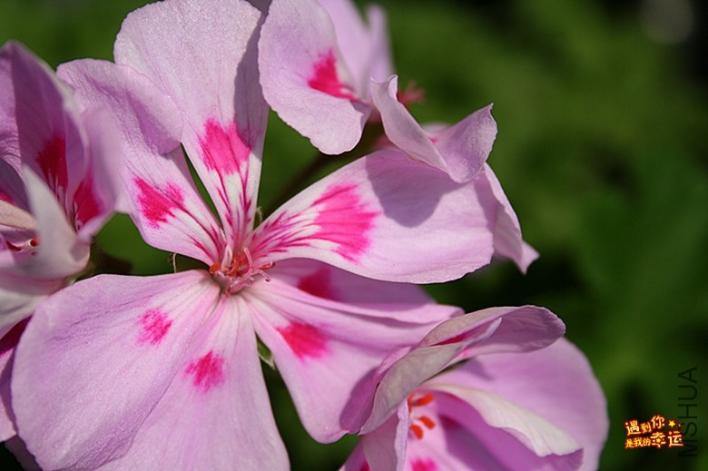 ��Ƭ 066_����.jpg