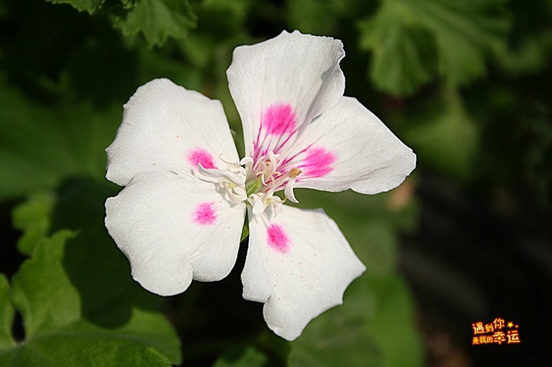 ��Ƭ 068_����.jpg