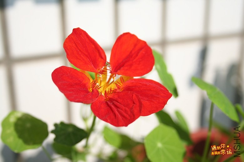 ��Ƭ 054_����.jpg