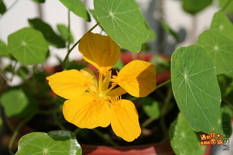 ��Ƭ 055_����.jpg