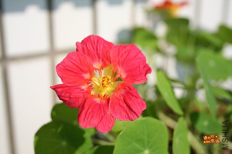 ��Ƭ 056_����.jpg