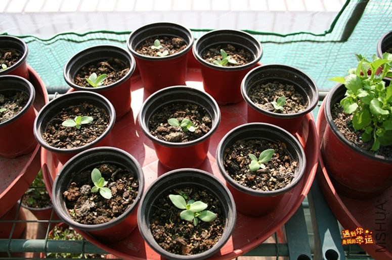 ��Ƭ 083_����.jpg