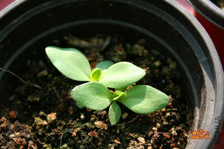 ��Ƭ 084_����.jpg