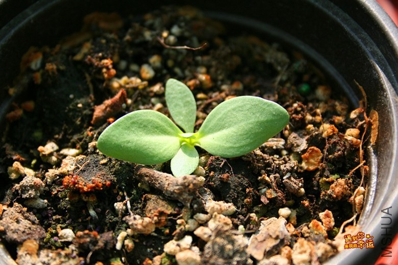 ��Ƭ 086_����.jpg