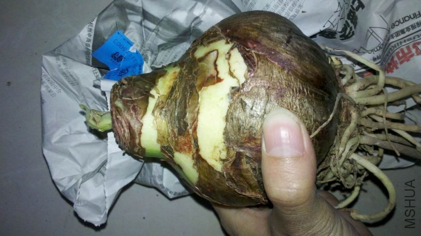 ������С 2013-11-18_19-52-00_267.jpg