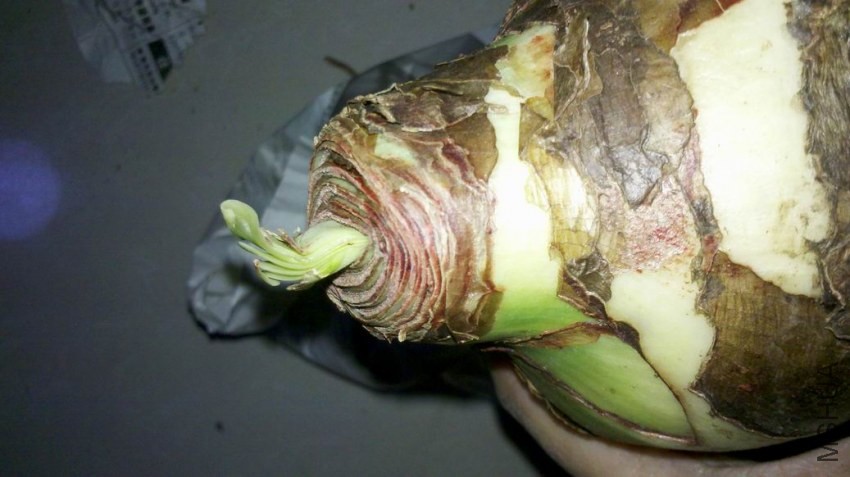 ������С 2013-11-18_19-52-12_105.jpg