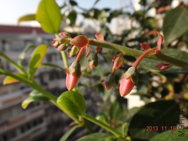 DSC03054.JPG