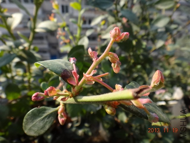 DSC03056.JPG