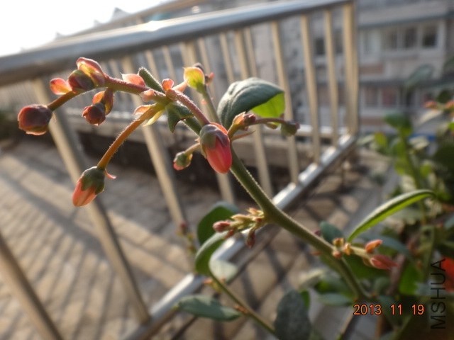 DSC03066.JPG