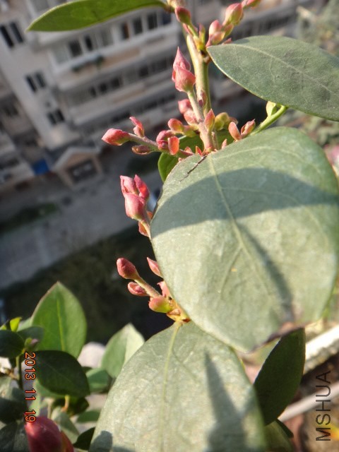 DSC03067.JPG
