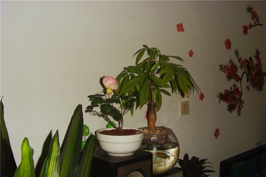 S73F0199.jpg