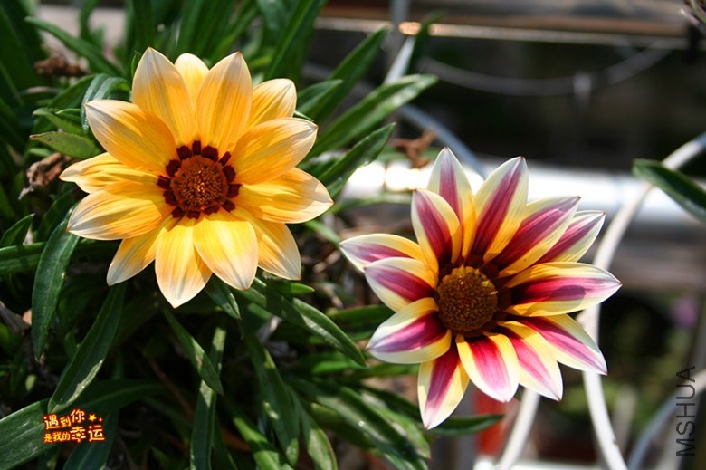 ��Ƭ 055_����.jpg