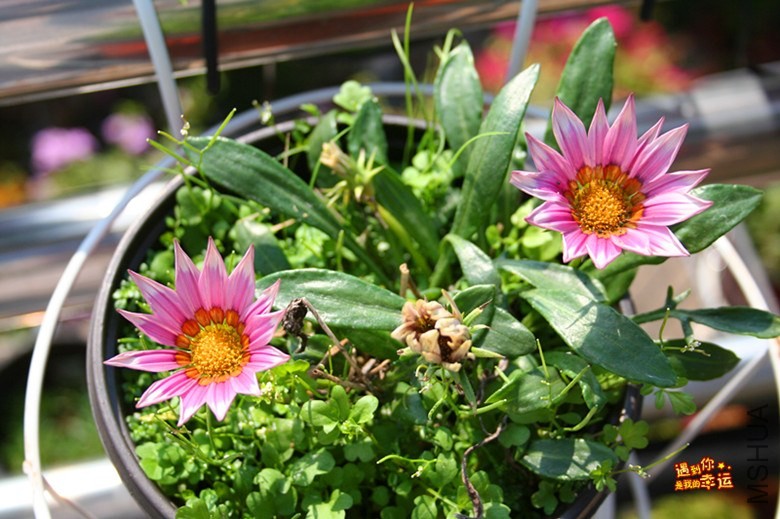 ��Ƭ 059_����.jpg