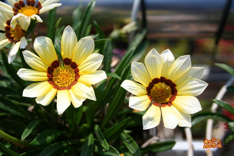 ��Ƭ 061_����.jpg