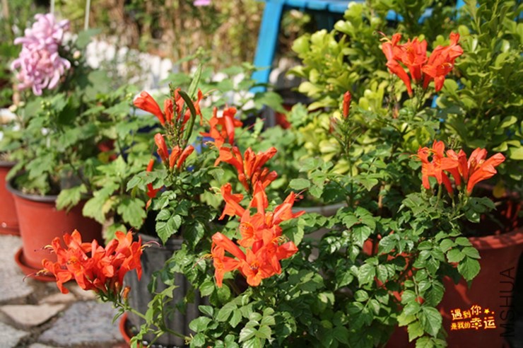 ��Ƭ 119_����.jpg