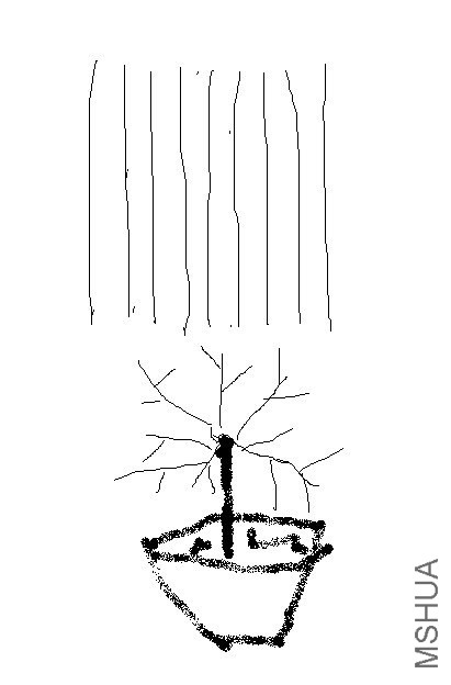 QQͼƬ20131120093354.jpg