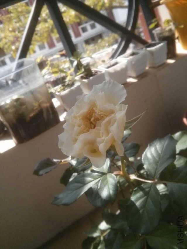 QQͼƬ20131120132911.jpg