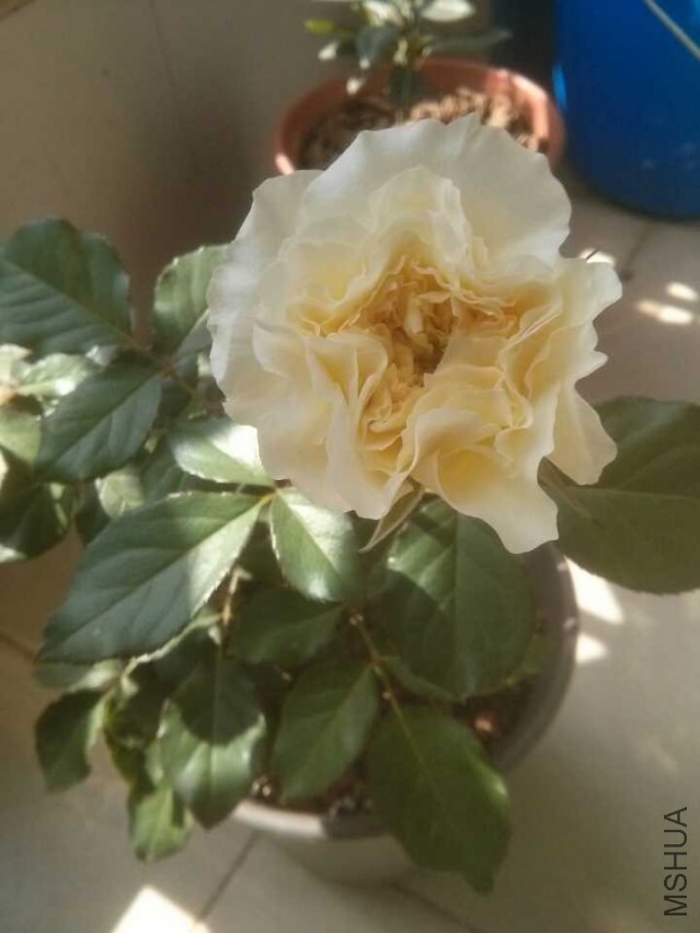 QQͼƬ20131120132919.jpg