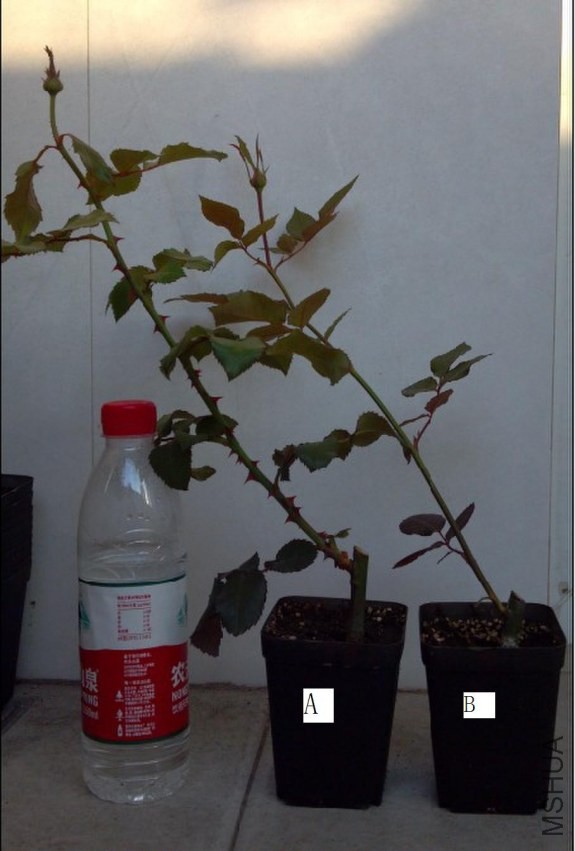 QQͼƬ20131120145125.jpg
