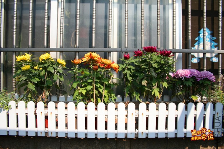 ��Ƭ 028_����.jpg