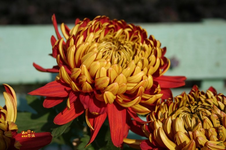 ��Ƭ 011_����.jpg