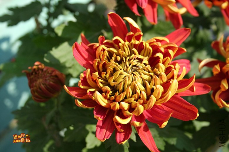 ��Ƭ 013_����.jpg