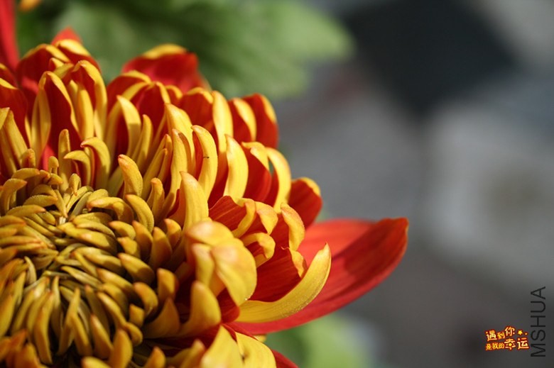 ��Ƭ 015_����.jpg