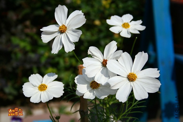 ��Ƭ 035_����.jpg