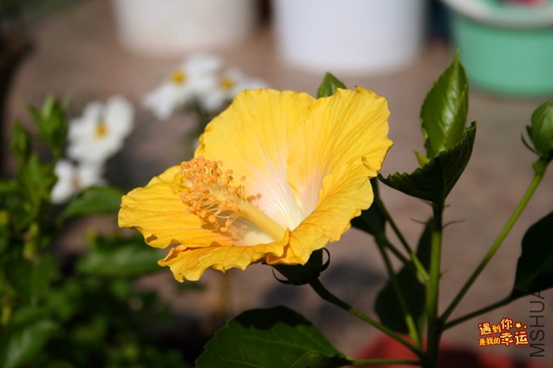 ��Ƭ 041_����.jpg