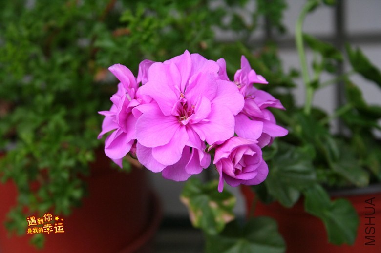 ��Ƭ 004_����.jpg