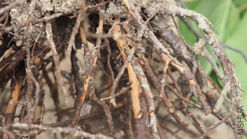 P1010312---.JPG