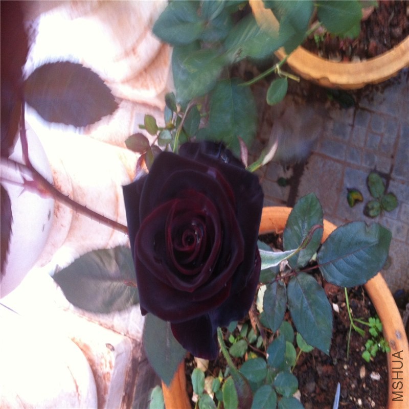 w 205_����.jpg