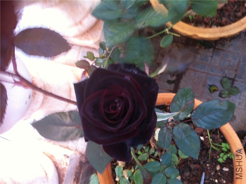 w 205_����.jpg