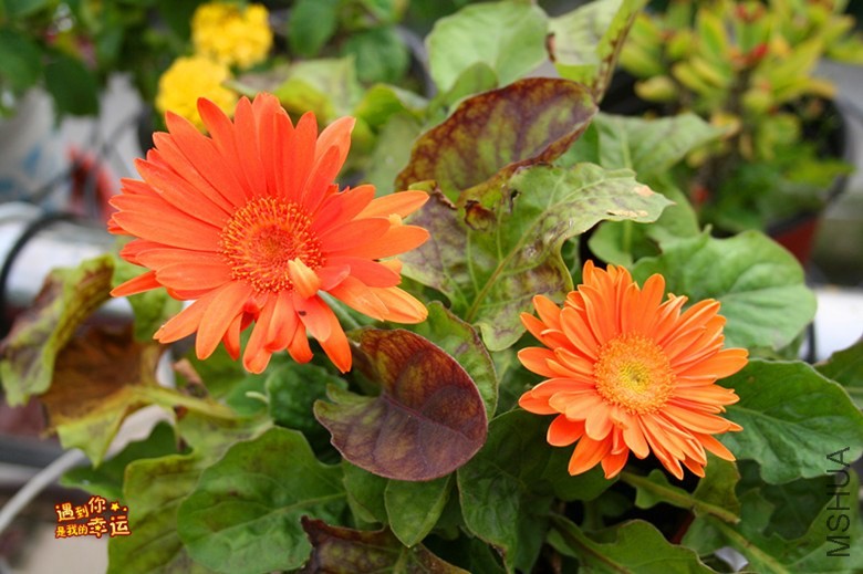 ��Ƭ 015_����.jpg