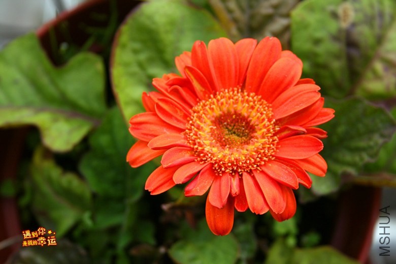 ��Ƭ 017_����.jpg