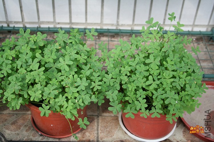 ��Ƭ 007_����.jpg