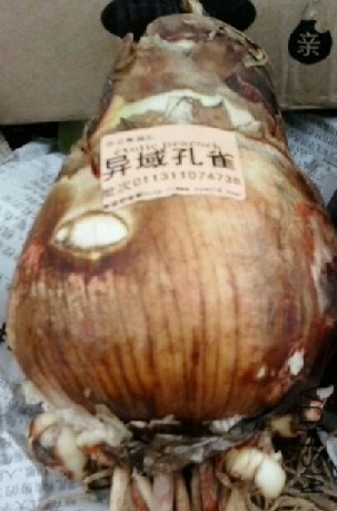 QQͼƬ20131121183251.jpg