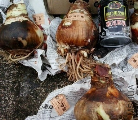 QQͼƬ20131121183352.jpg